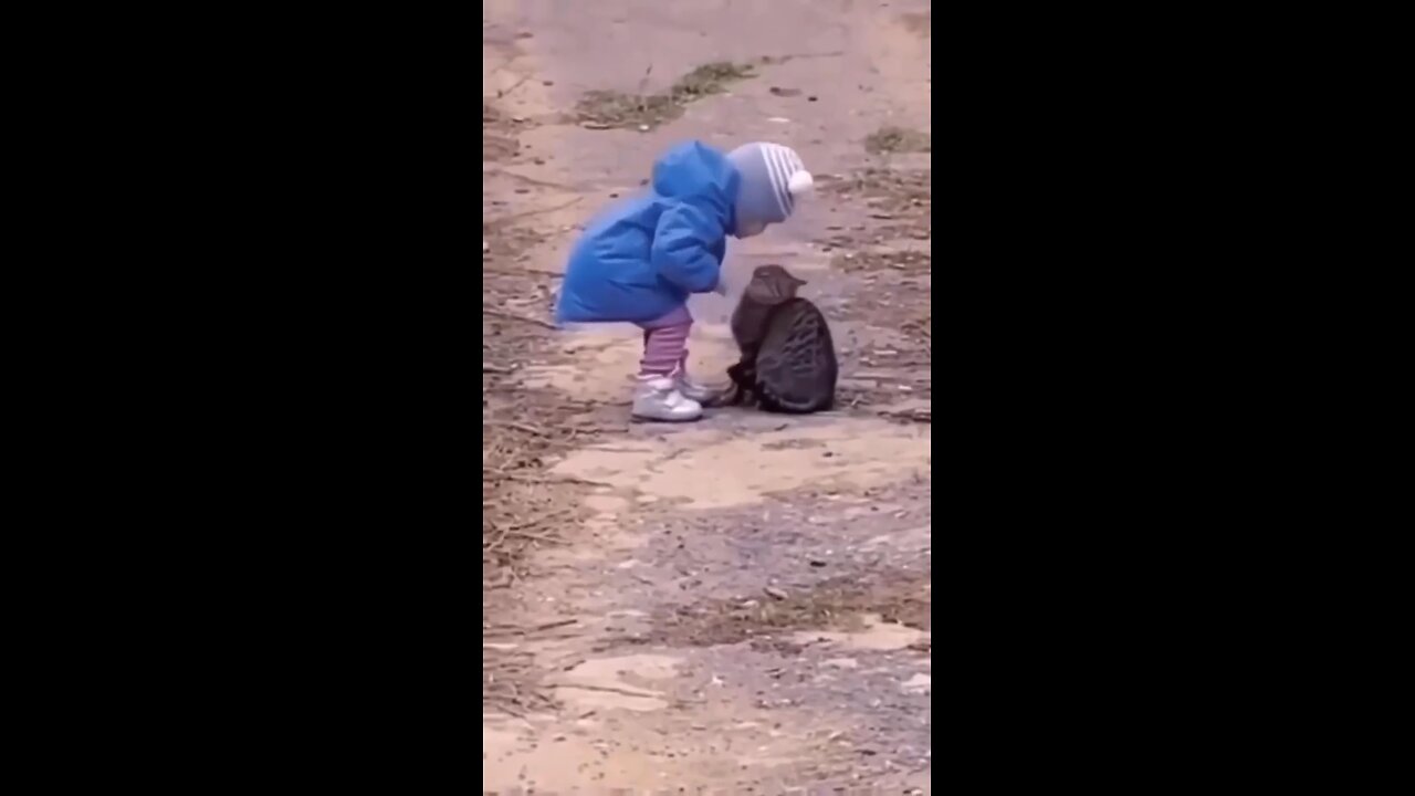 Cats Sweetest Moment With Babies Love for cats❤️❤️