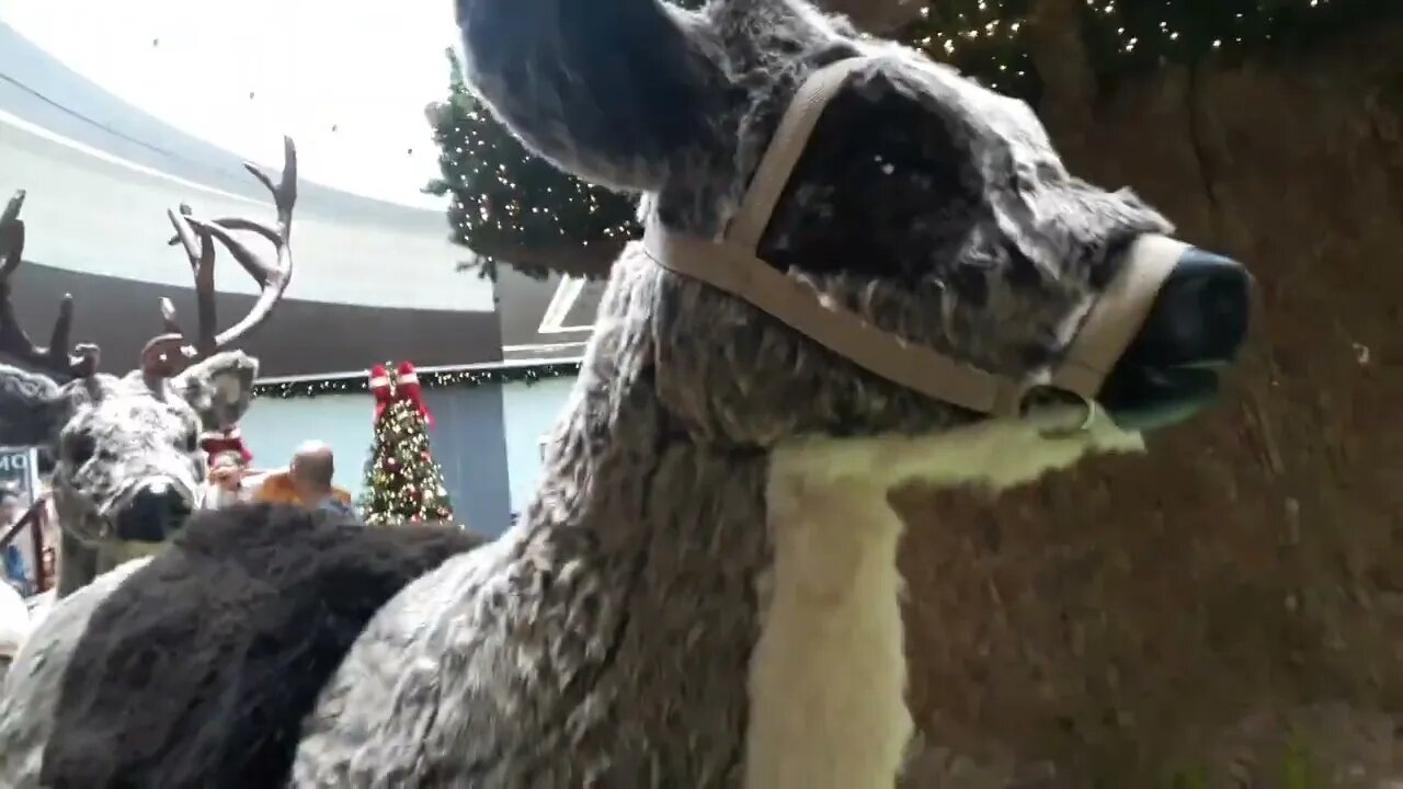 Decoração de Natal no shopping vale sul são José dos Campos.