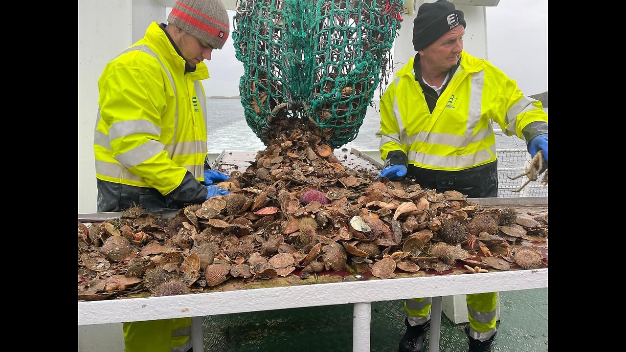 Iceland is a land of seafood