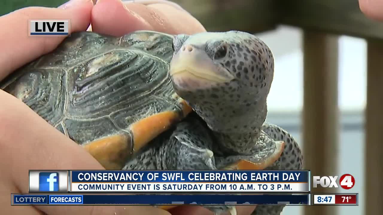 Conservancy of Southwest Florida holds Earth Day Festival on Saturday