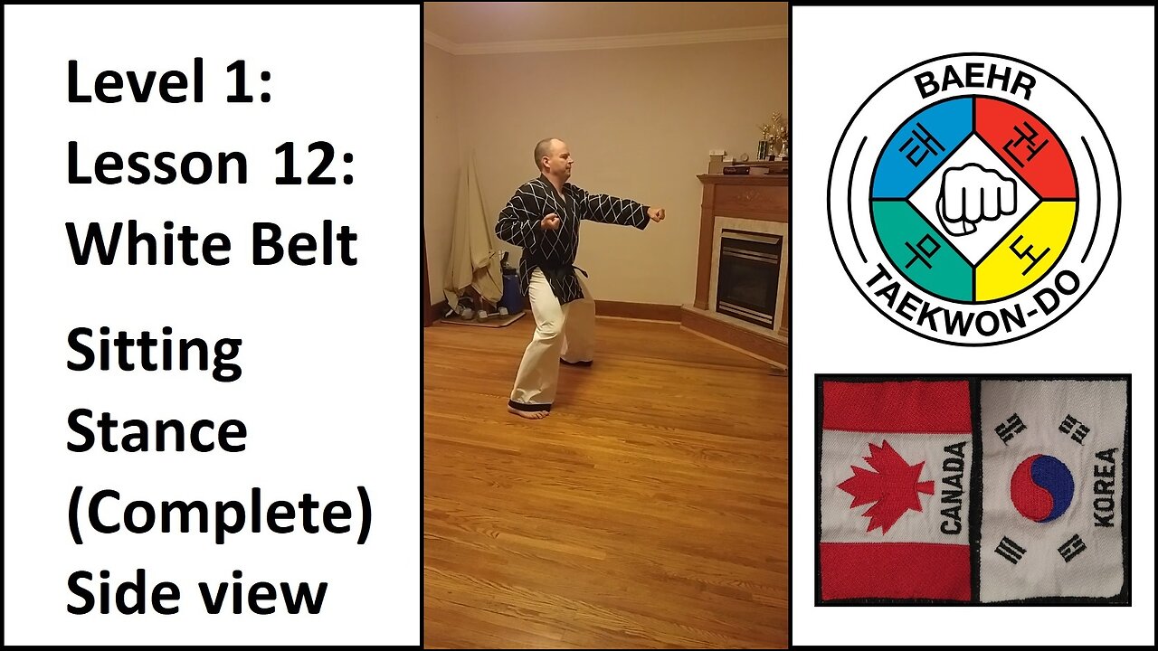 Baehr Taekwondo: 01-12: White Belt: Sitting Stance - Complete (Side View)