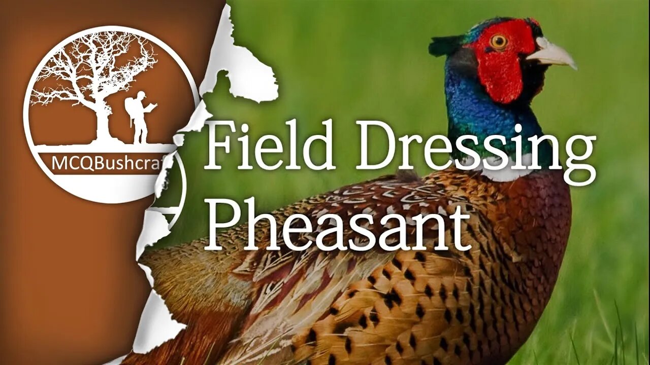 Field Dressing Game: Pheasant Whole Bird