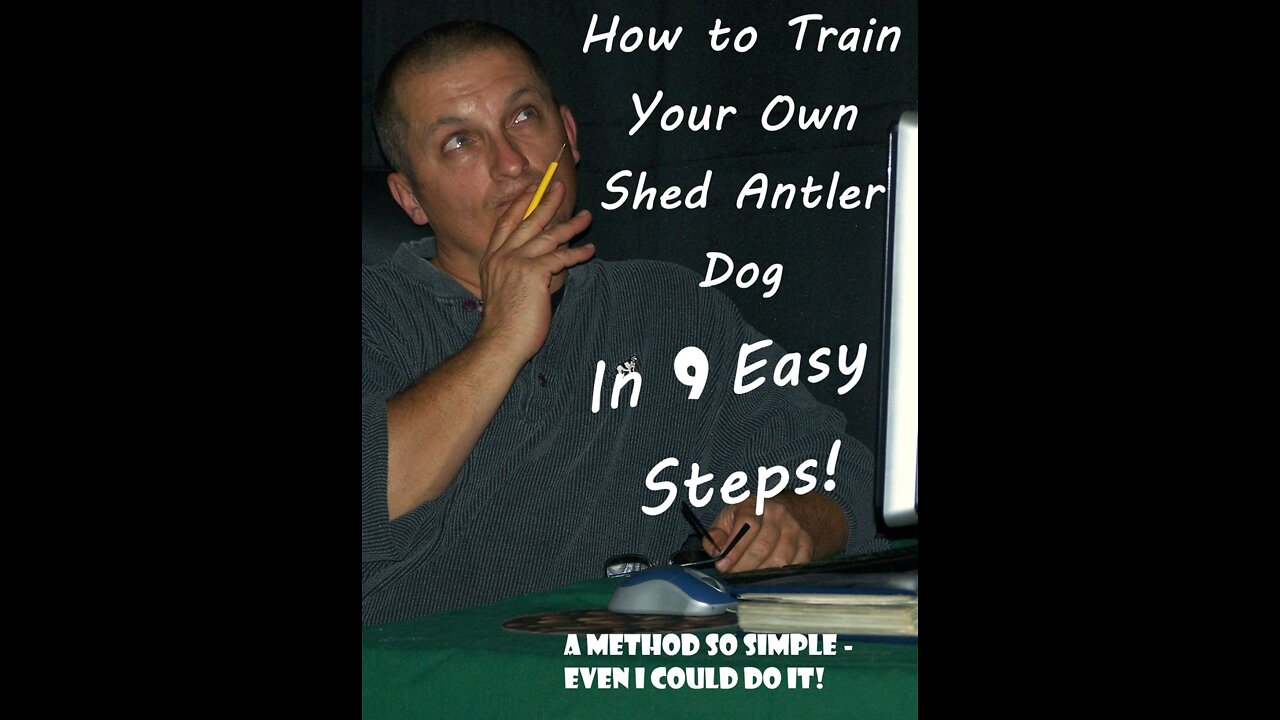 How to Train Your Very Own Shed Dog