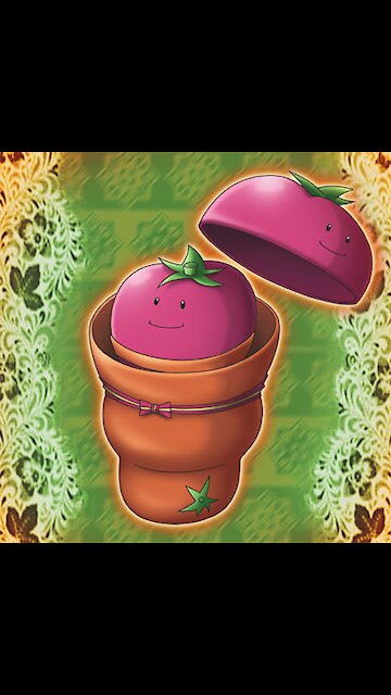 Yu-Gi-Oh! Duel Links - Akiza Knows How To Make Ketchup? Tomato In Tomato Gameplay