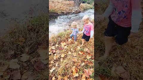 Little Sister Creek Adventure