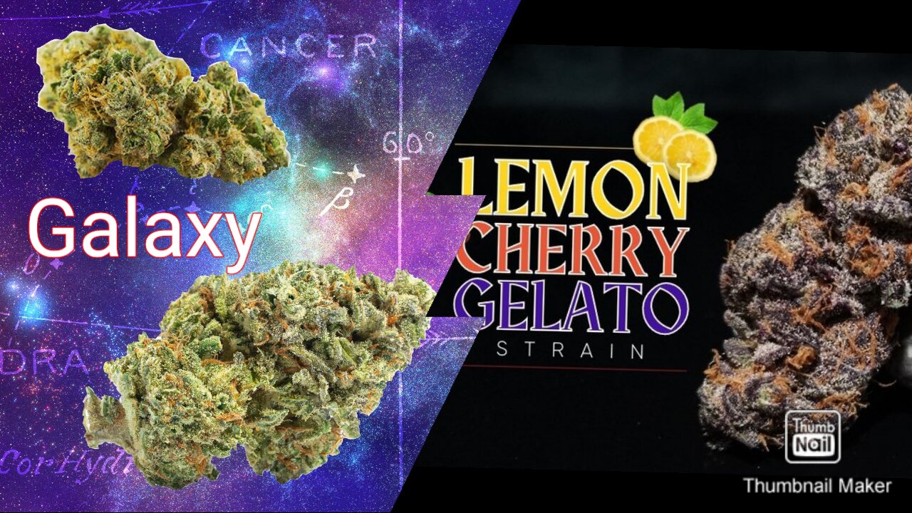 S5 Episode 13 Finale Galaxy + Lemon Cherry Gelato Strain Review