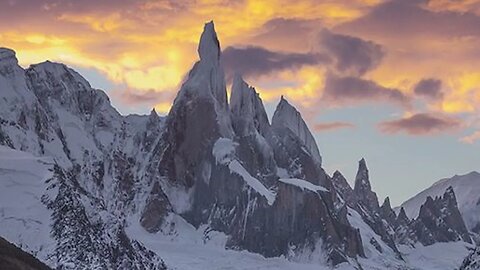 Wilderness Unleashed Embracing Splendor