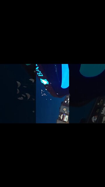 Ballon release 2022 National Day of Rememberance for Gun Related Homicide Victims12/30/22 Man Up inc