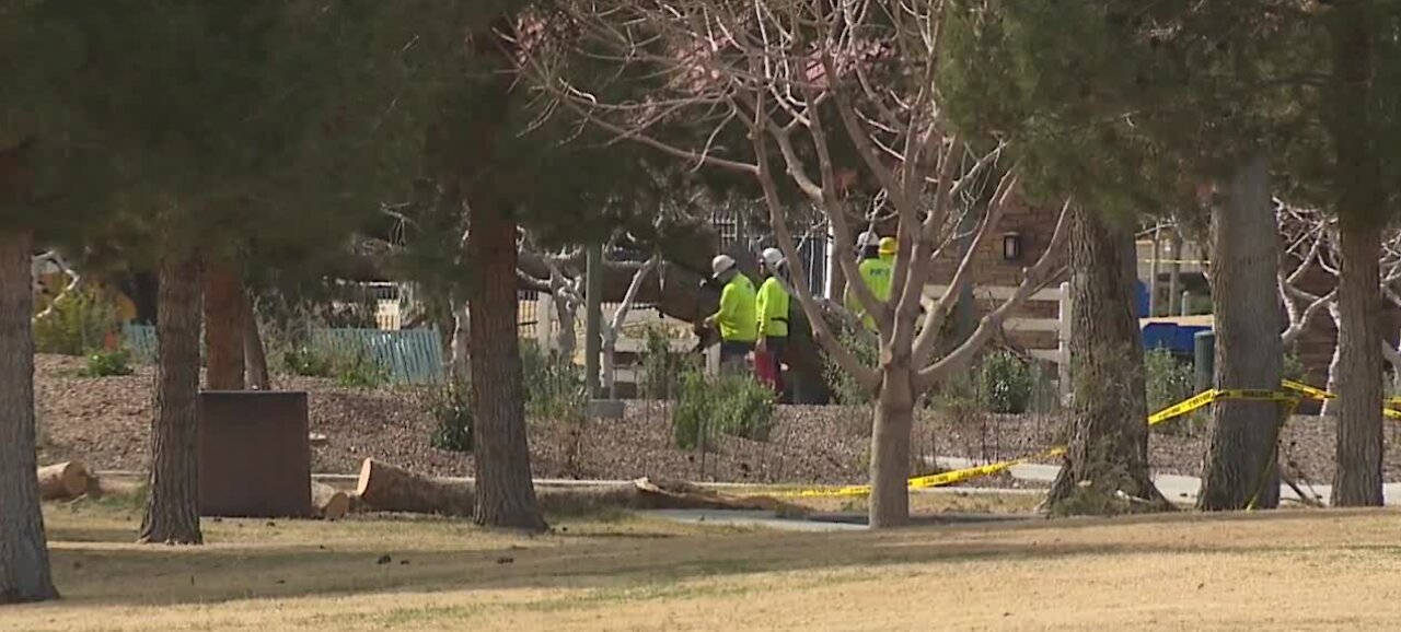 Craig Ranch Park in North Las Vegas remains closed after Saturday's wind, storm