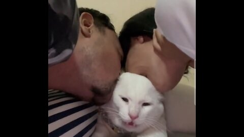 2 Chinese guys marry a cat