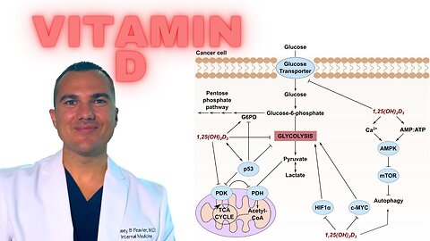 Vitamin D KILLS Cancer: INHIBITS Glucose Uptake & Metabolism