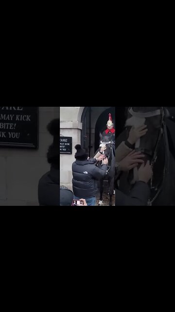 Disrespectful tourists touching the Horse #thekingsguard