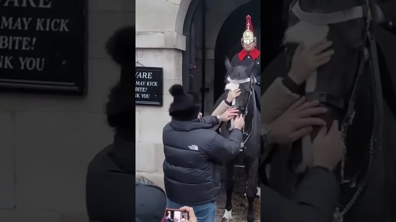 Disrespectful tourists touching the Horse #thekingsguard