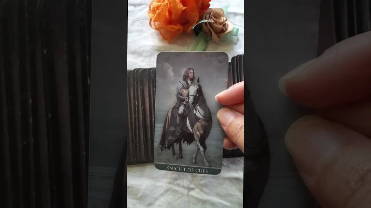 🀄Conselho Diário - Receba um Conselho do #tarot para seu dia!