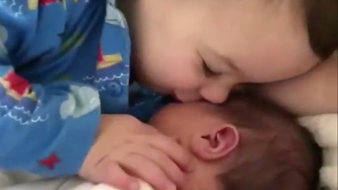 See how toddler cuddles his younger brother