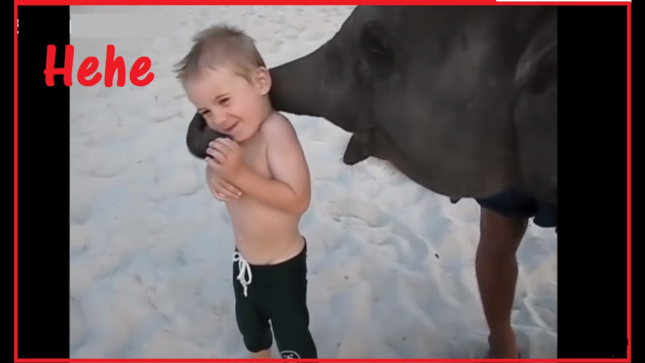 THE CUTEST ANIMALS AND KIDS COMPILATION