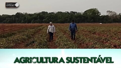 Agricultura Sustentável: Com Frederico Olivi