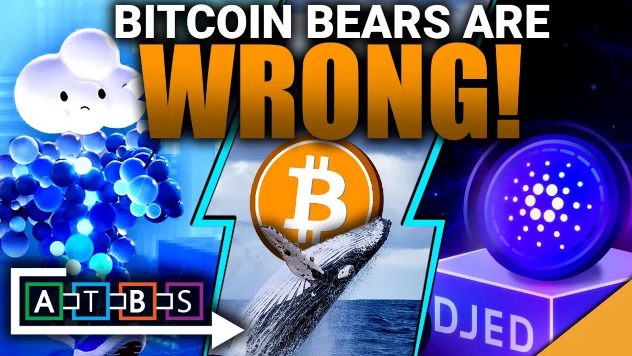 Bitcoin Bears are WRONG! (Exclusive Insight on Cardano Stablecoin)