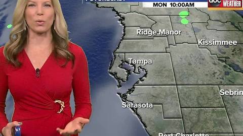 Action Weather Forecast