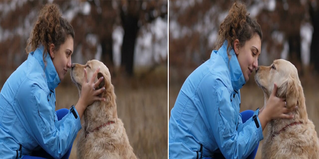 Dog argues with puppy beautiful young woman embracing