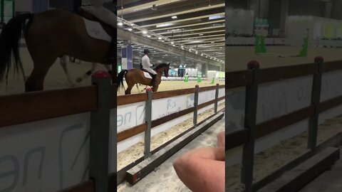 #fieracavalliverona2022