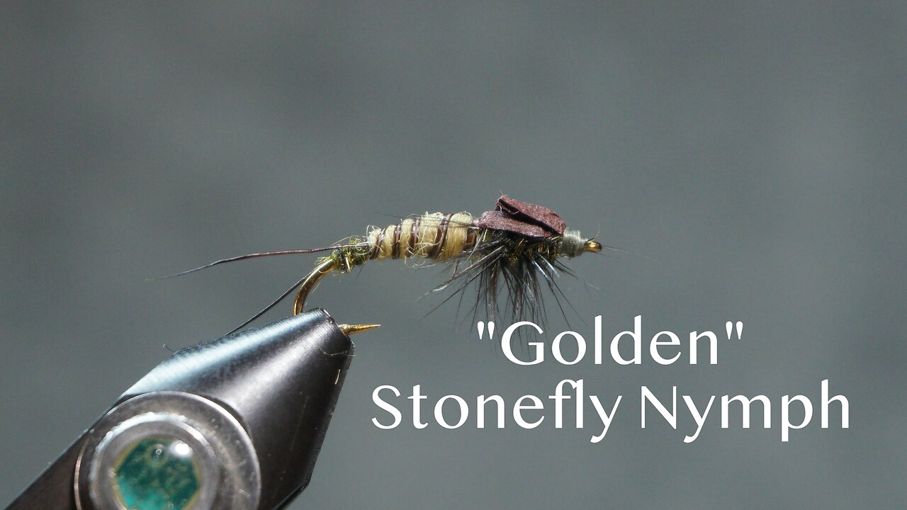 “Golden” Stonefly Nymph (Fling & Puterbaugh 27/30)