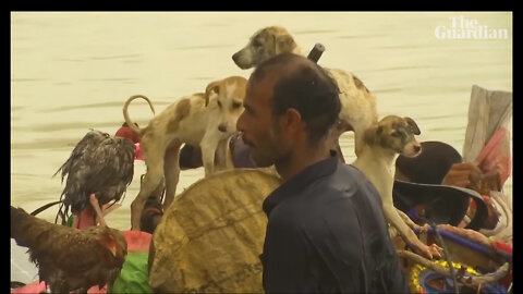 After the Flood, Exodus