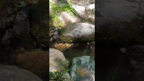 Steall waterfall path stream Scotland