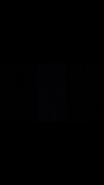 #dogshow , #animals , #dogs , #shorts