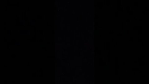 #dogshow , #animals , #dogs , #shorts