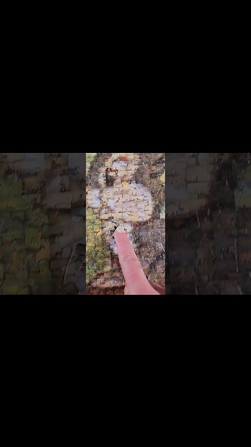 Bambi Photomosaic! #shorts #puzzle #jigsawpuzzles #disney #bambi