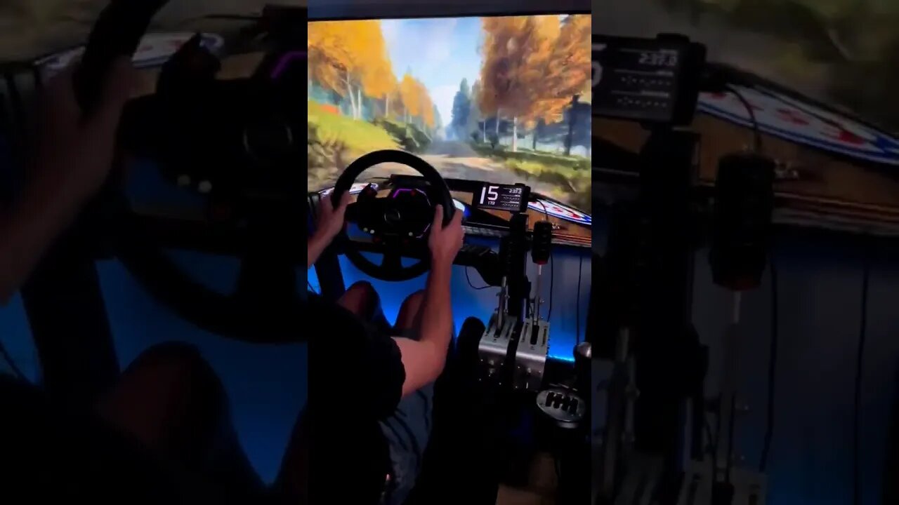 Drive in the Jungle Part 2