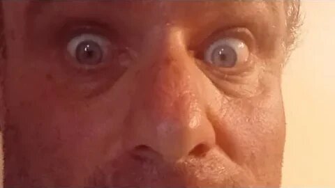 Buffalo Traffic is going live! land of lands continued. written by me in 86