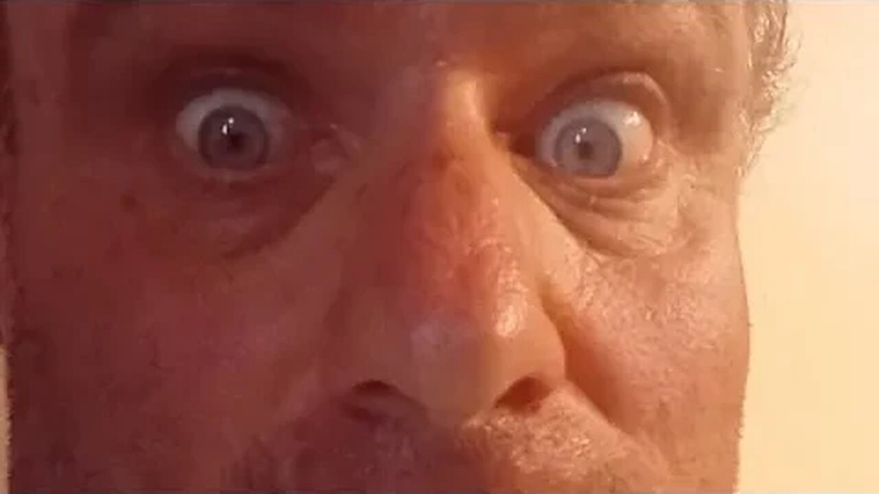 Buffalo Traffic is going live! land of lands continued. written by me in 86