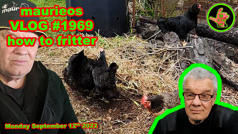 maurieos VLOG #1969 how to fritter