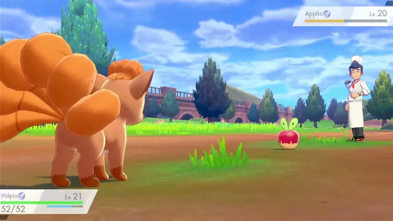 Pokémon Sword - Pokémon Battle vs. Cook Stuart