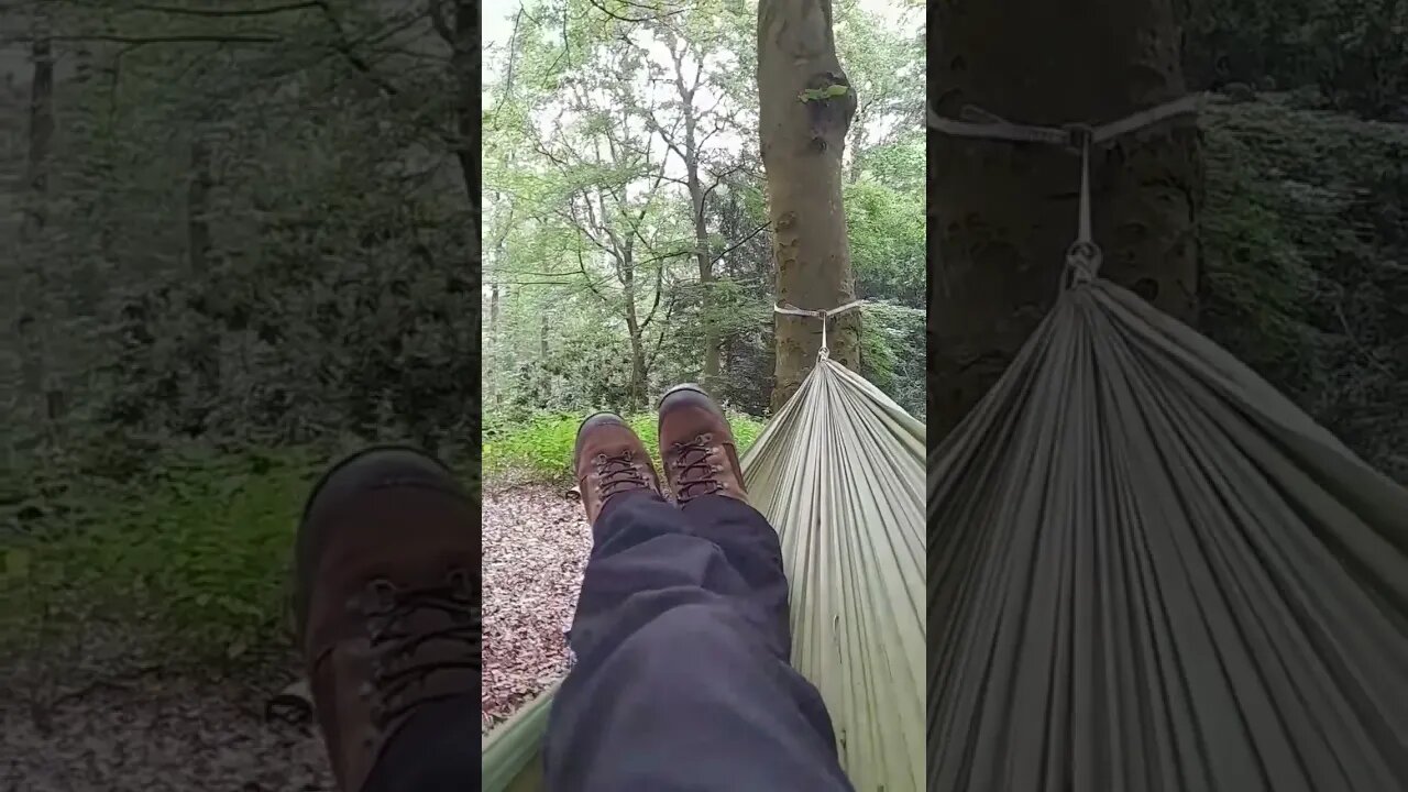 Hammock life
