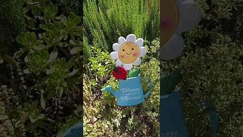 WAS 717 TRULY A GIFT FROM GOD TO UNDERSTAND THIS MOMENT?