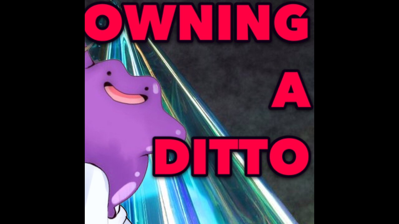 Owning a Ditto | Life with Prof. Sir & Ditto