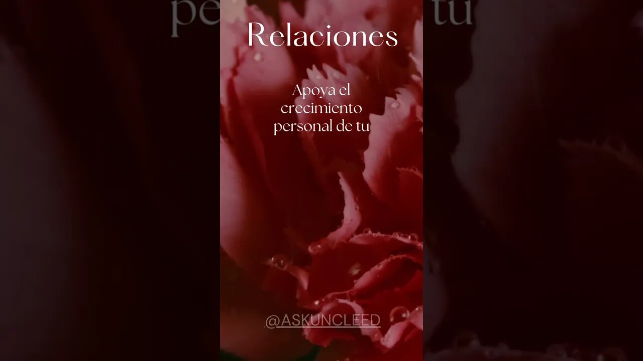 Consejos de Relaciones