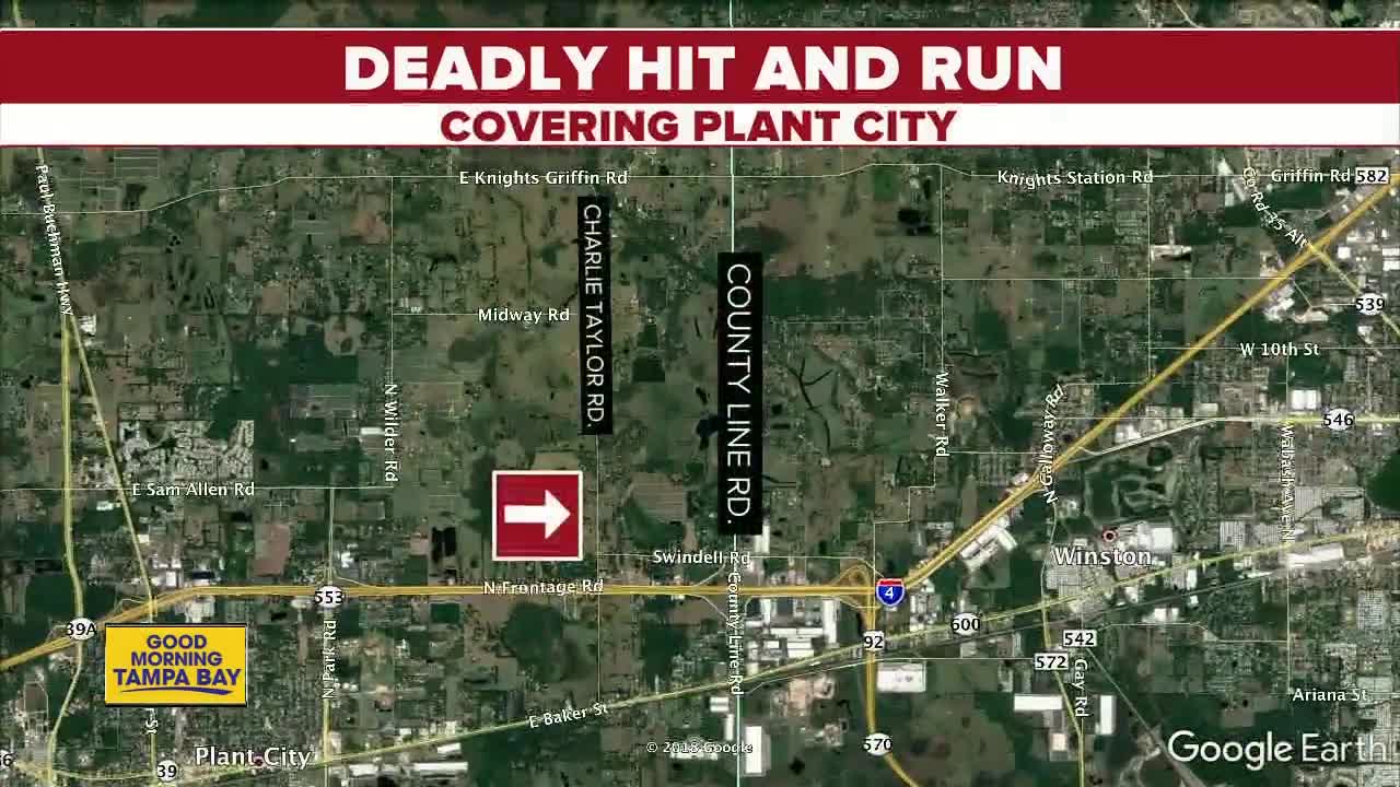 Pedestrian killed in Plant City hit-and-run, police searching for suspect