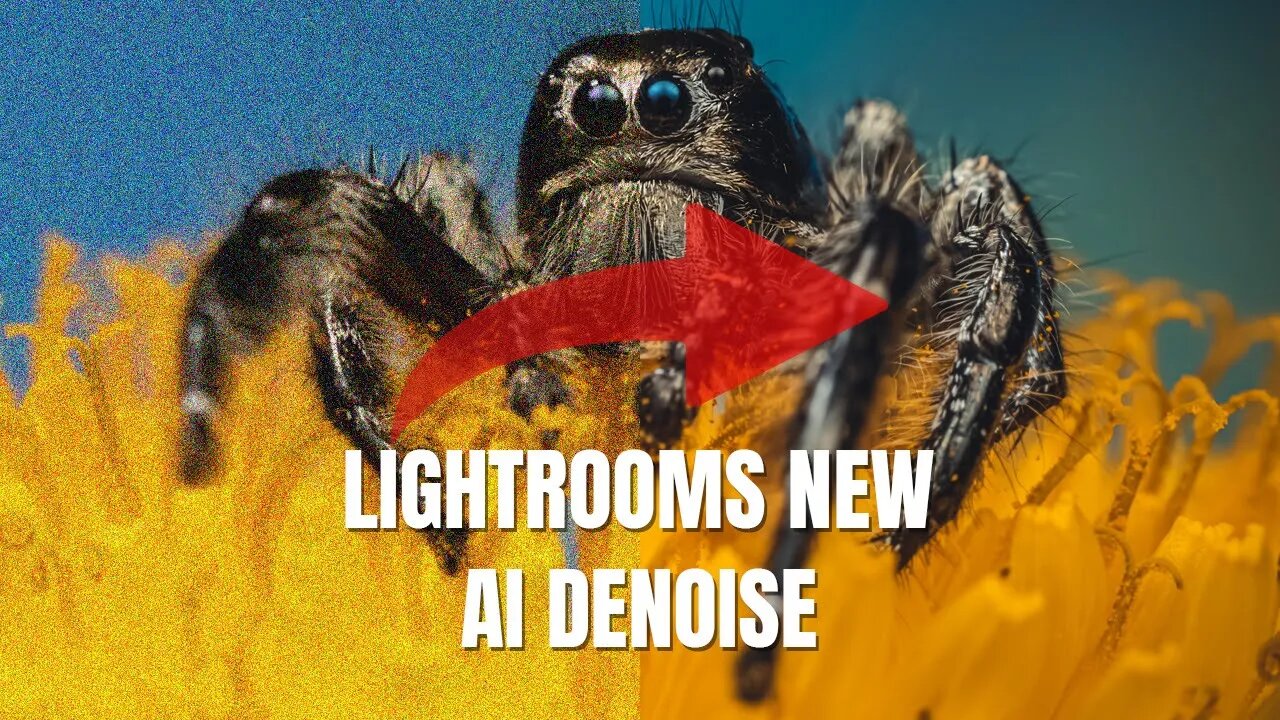 Adobe Lightrooms new AI Denoise | is it any good?