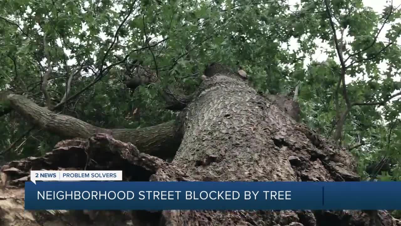 Tree Blocks Road