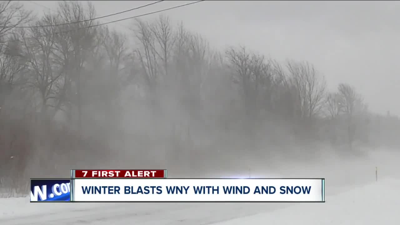 Wind and snow impact southern Erie County