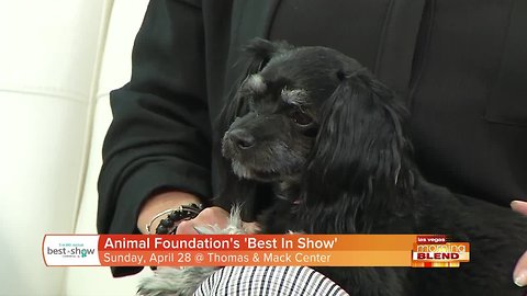 The Animal Foundation Presents "Best In Show"