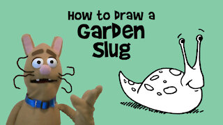 How to Draw a Garden Slug