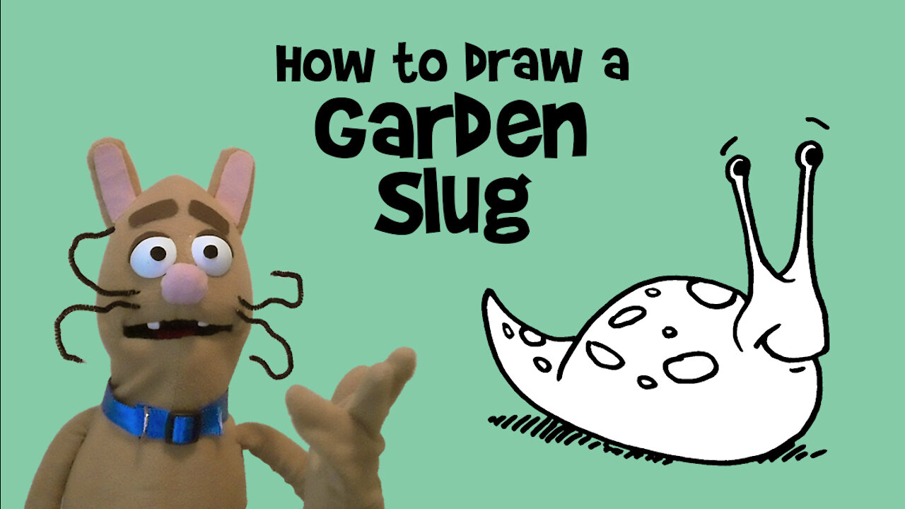 How to Draw a Garden Slug