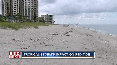 Red tide hundreds of yards away from beach; tourists still weary