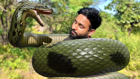 Giant Anaconda Snake Enwind Man & Swallowed ALIVE ! ! 🐍