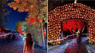 Ce village de citrouilles illuminées à 1h30 de Montréal est LA place où aller cet automne